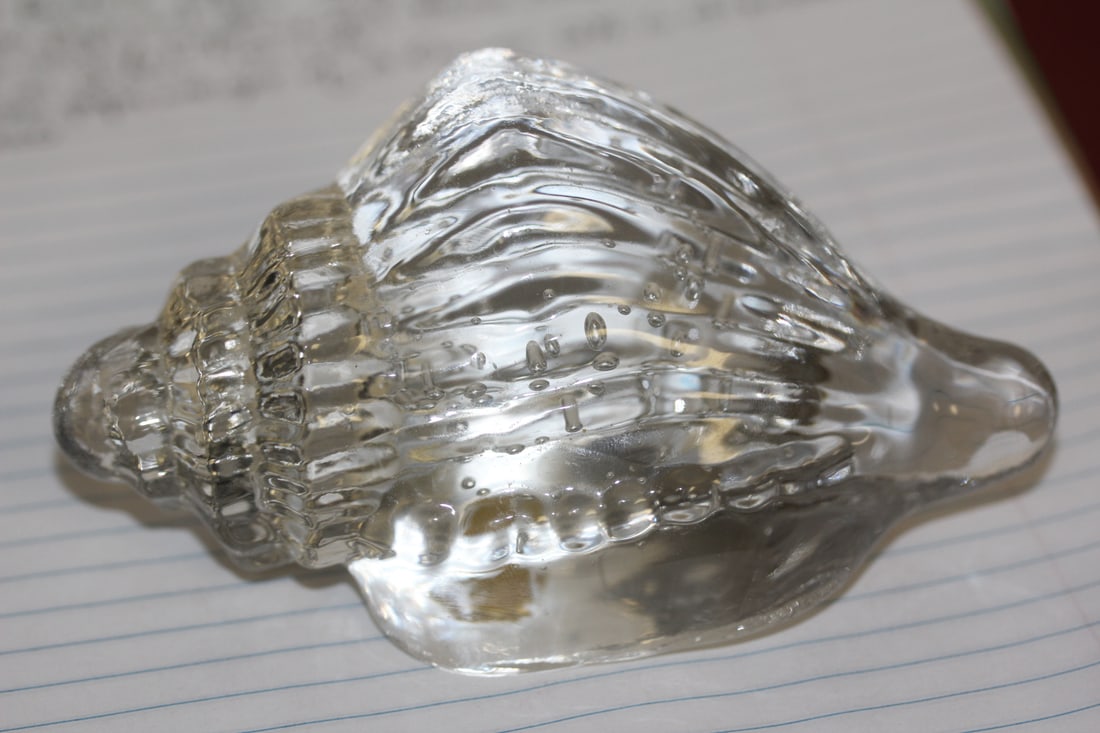 Conch Shell Form Paperweight: 4 5/8" in diameter