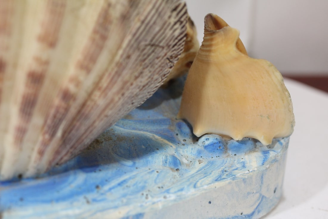 A Shell Art - 10