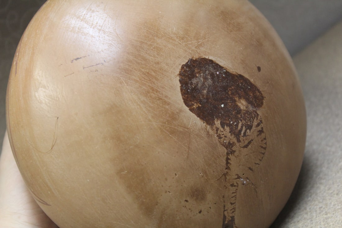 Antique Native American Pot - 4