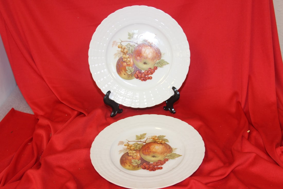 Pair of Hutschenreuther Plates: 8" in diameter