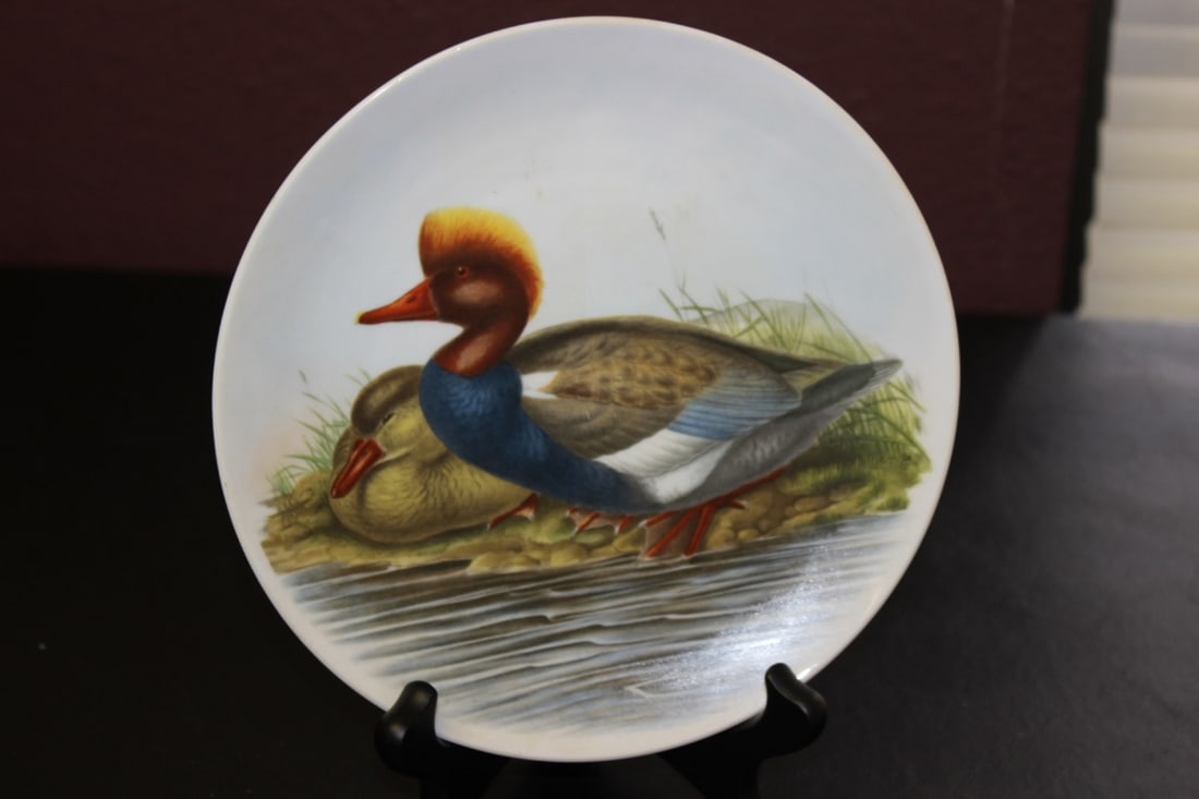 Collectors Plate by John Gould: 7 3/4" in diameter