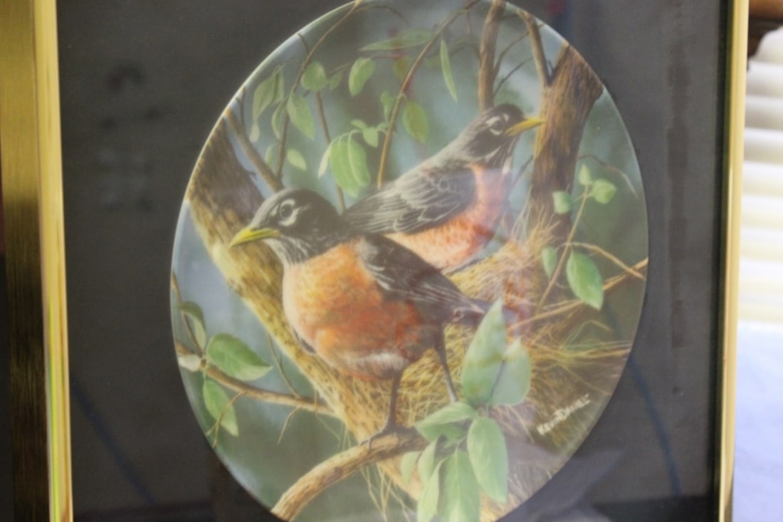 A Framed Collectors Plate by Kevin Daniel: With COA - 12 1/4" x 12 1/4"