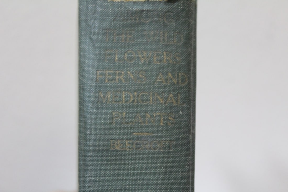 Book: Who's Who Among the Wild Flowers and Ferns: hardcover - a medicinal book