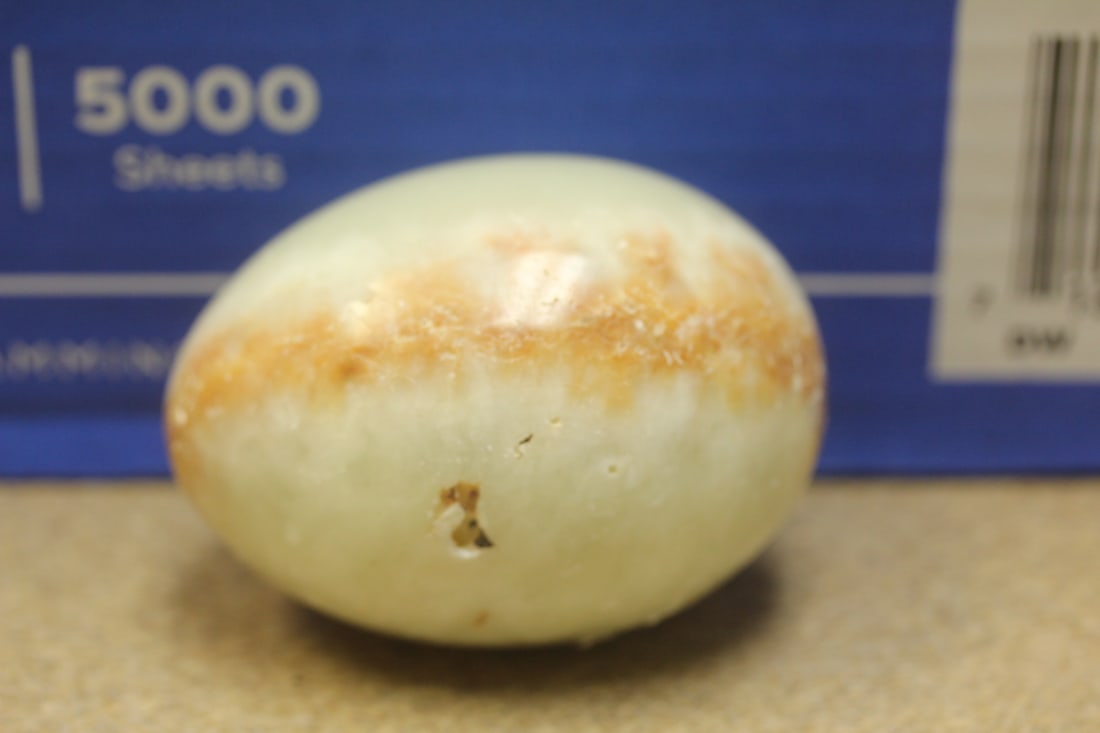 Onyx Egg: 2 5/8" across