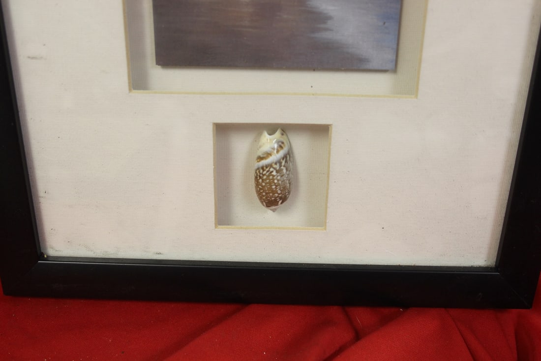 A Print with Seashell - 2
