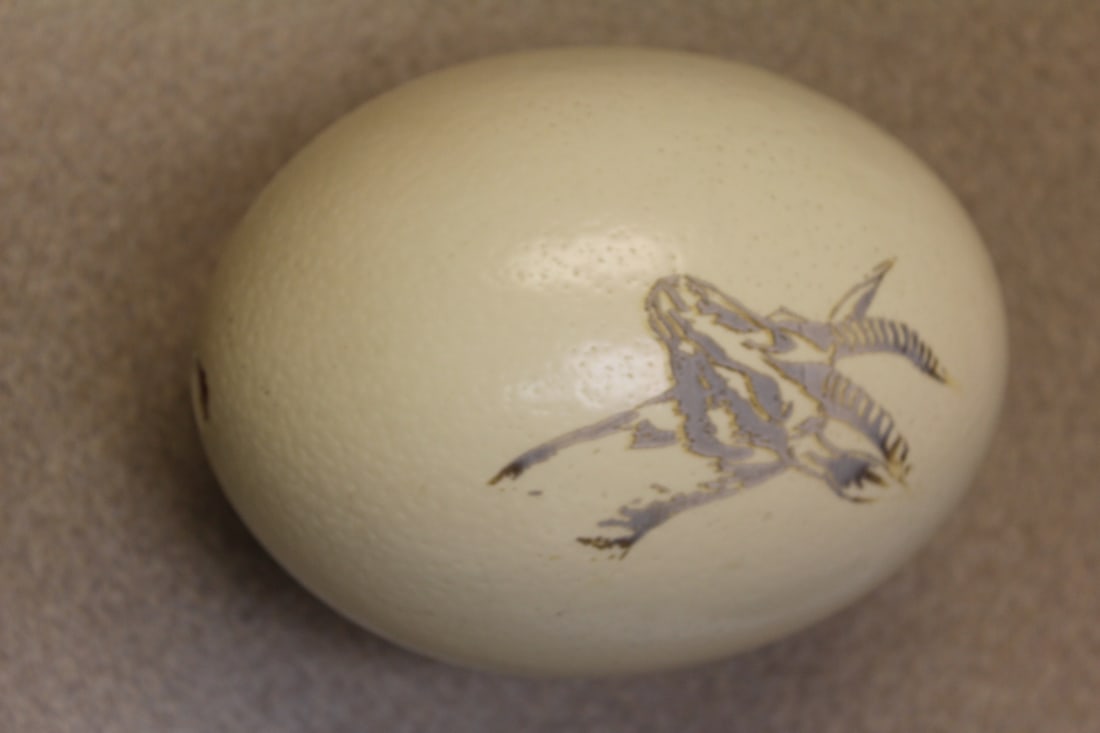 Ostrich Egg: carved