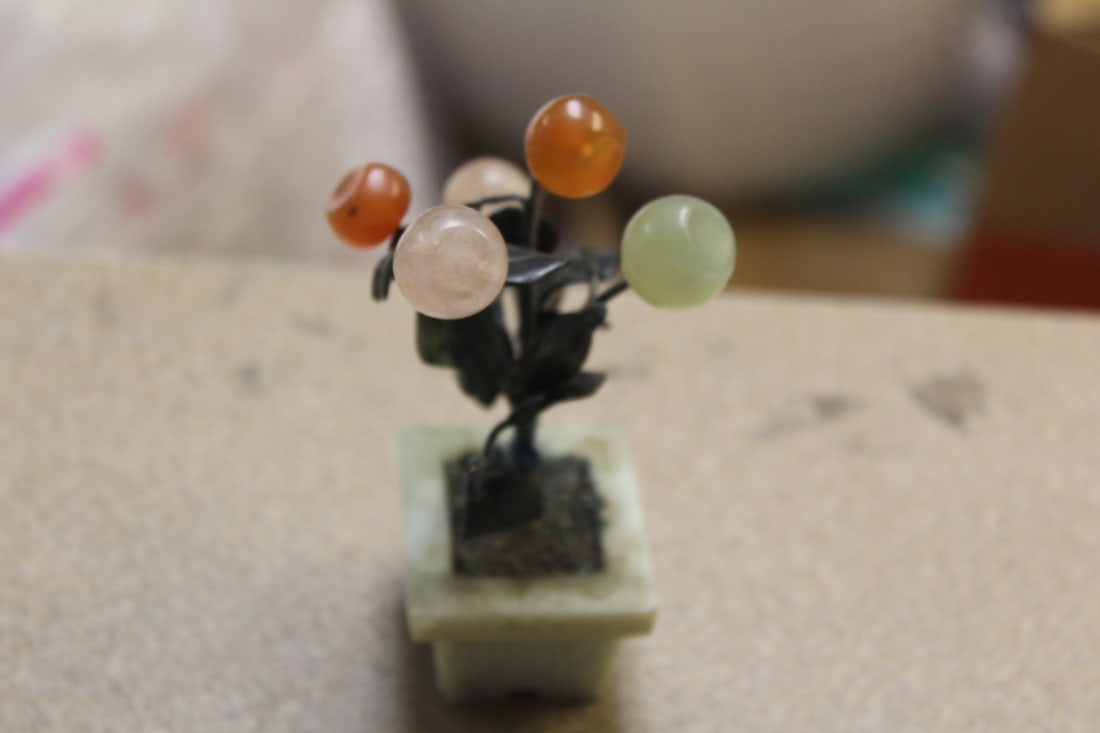 Small Jade Tree - 2