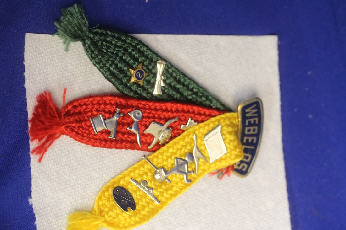 Boyscout Pins: webelos - various sizes