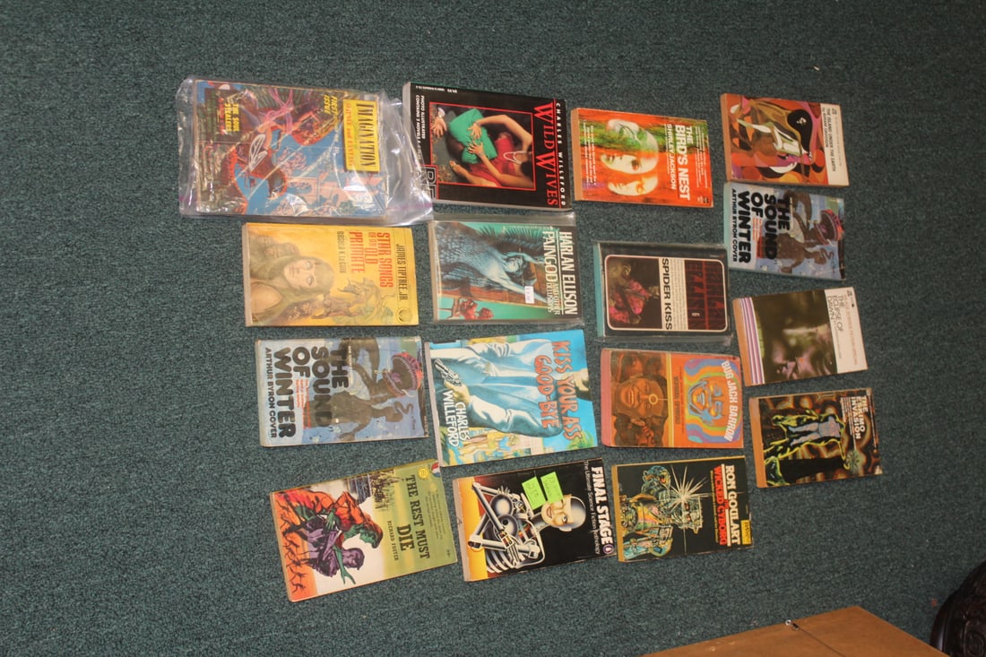 Lot of 16 Paperbacks (1 of 6)