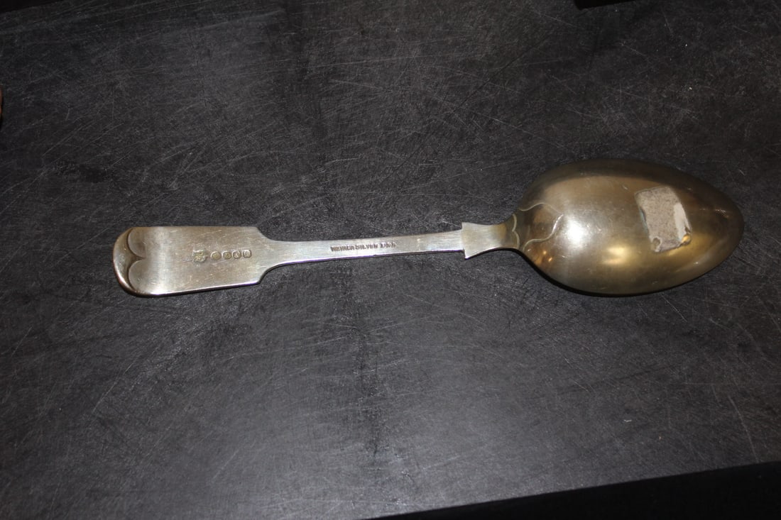 Silverplate Serving Spoon - 2