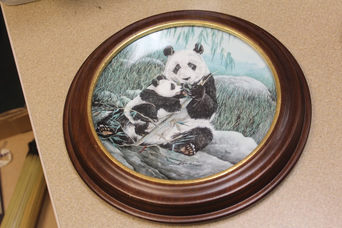 Framed Panda Collector's Plate: by Joyce Bridgett - overall= 11 inches in diameter