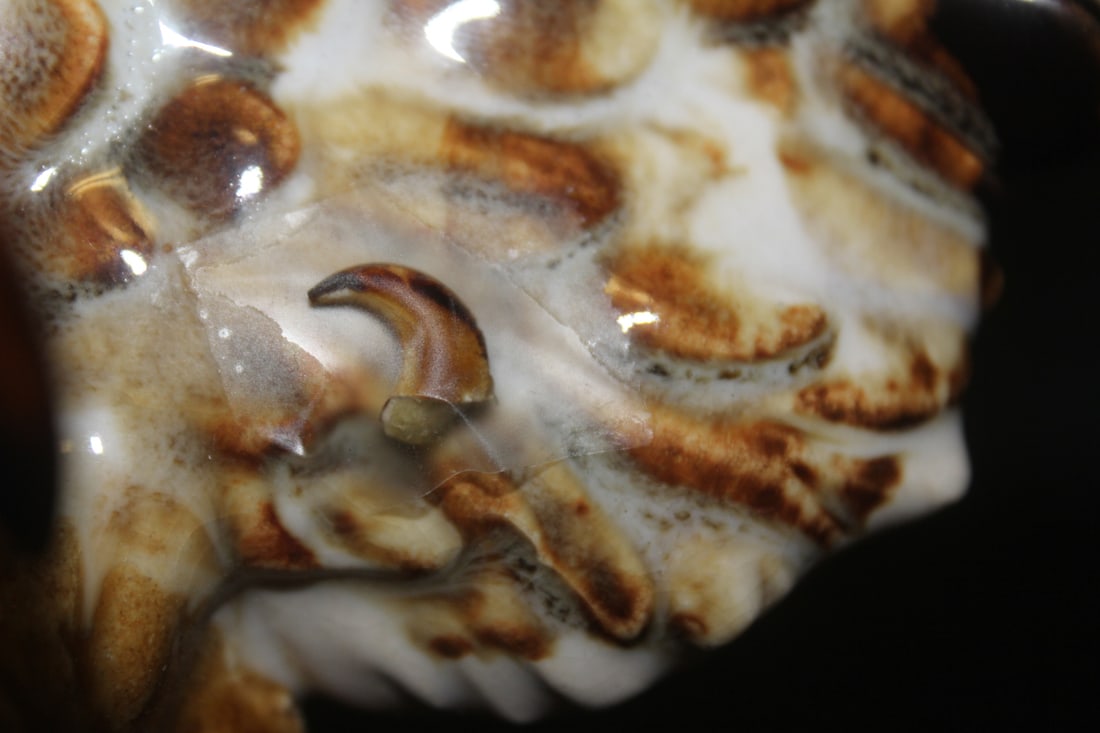 Ceramic Eagle Wall Hanger - 6