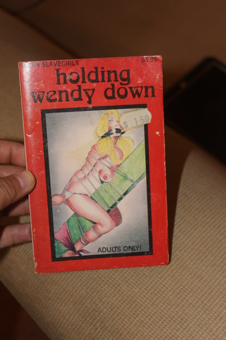 Risque Novel: for adults only - paperback