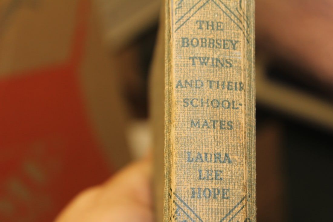 Book: The Bobbsey Twins and Their School Mates: hardcover book