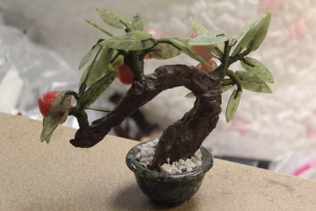 Jade Tree - 3