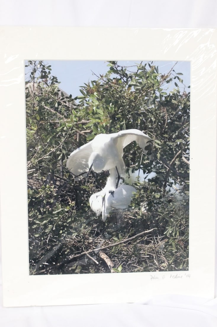 A Signed Bird Photograph: 14" x 11" - unframed