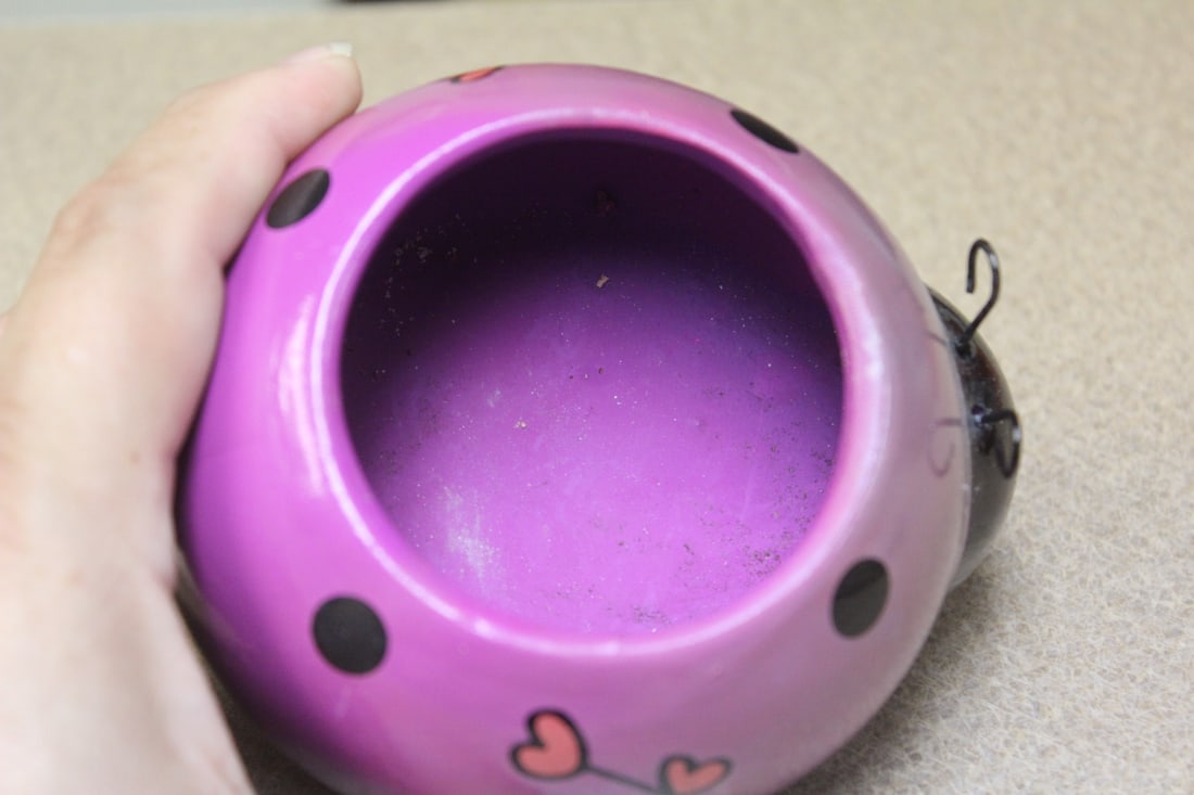 Ladybug Ceramic Planter - 5