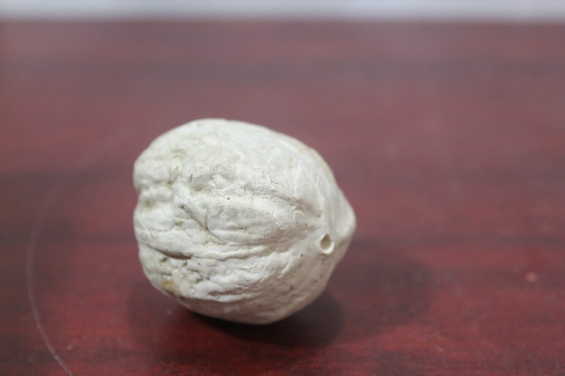 A Ceramic Real Size Pecan: as shown