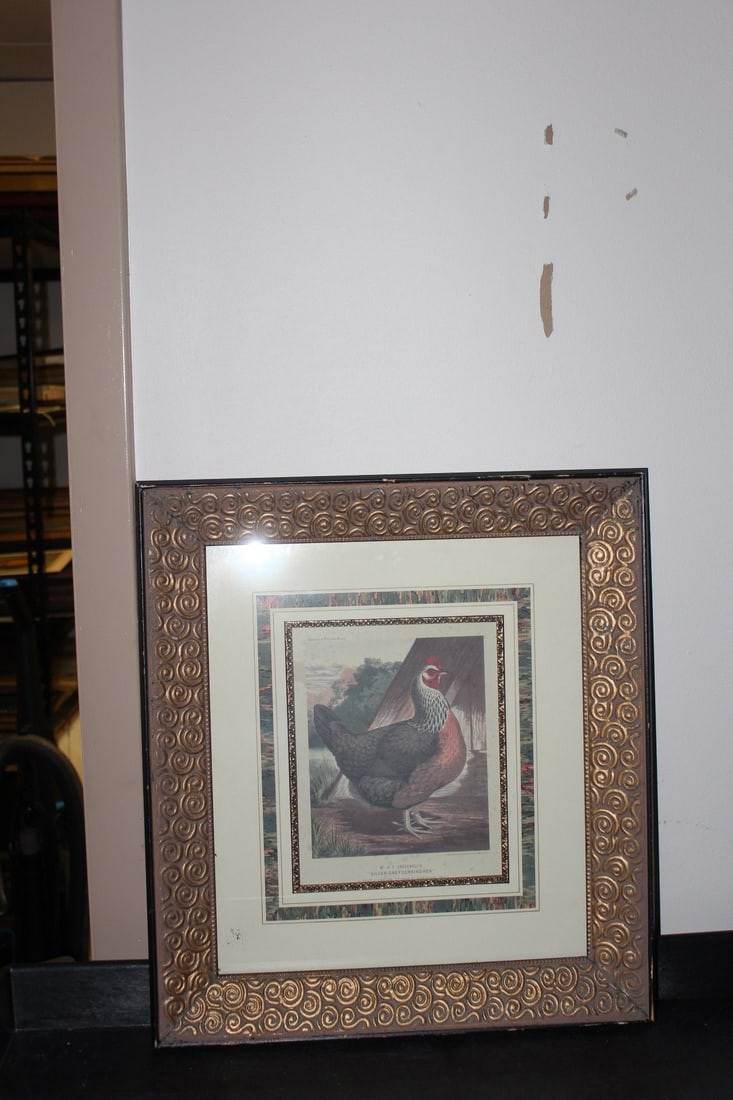 A Nicely Framed Lithograph of a Chicken: Vincent Brooks Day and son - overall= 20" x 18"