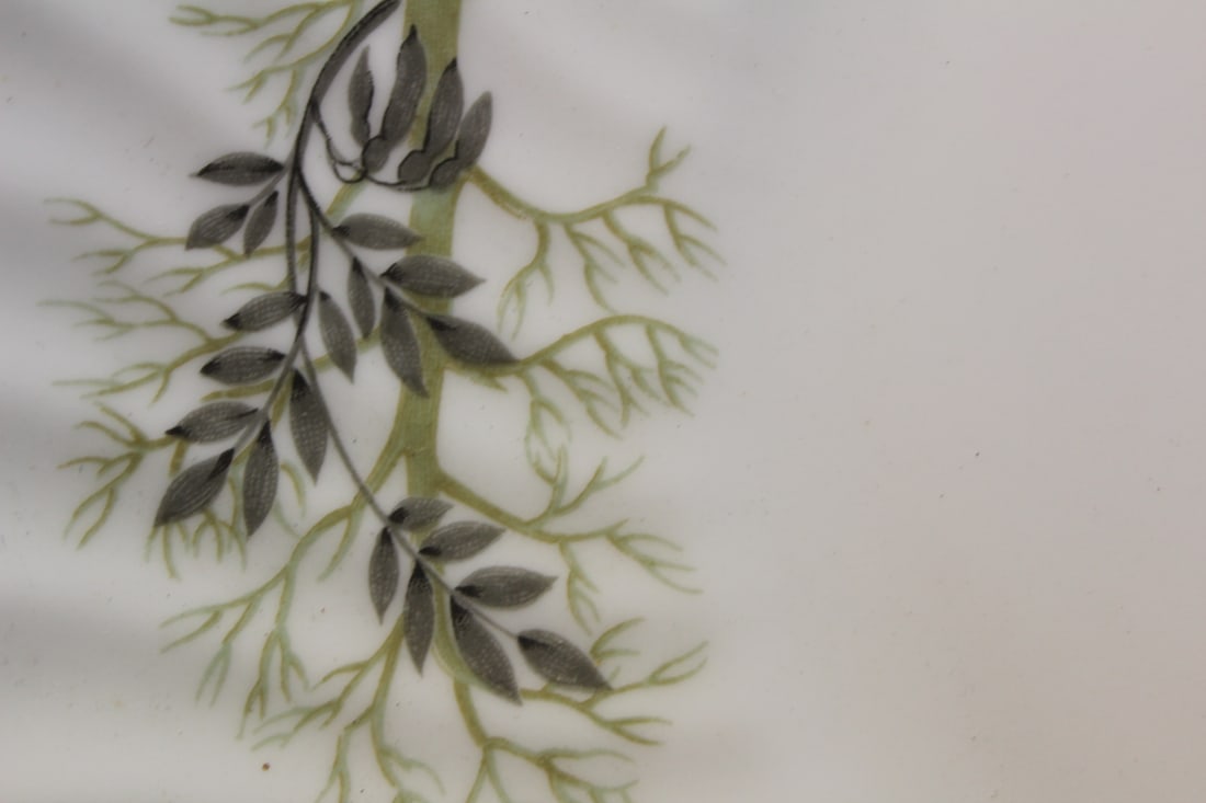 Fine Bone China Serving Plate - 4