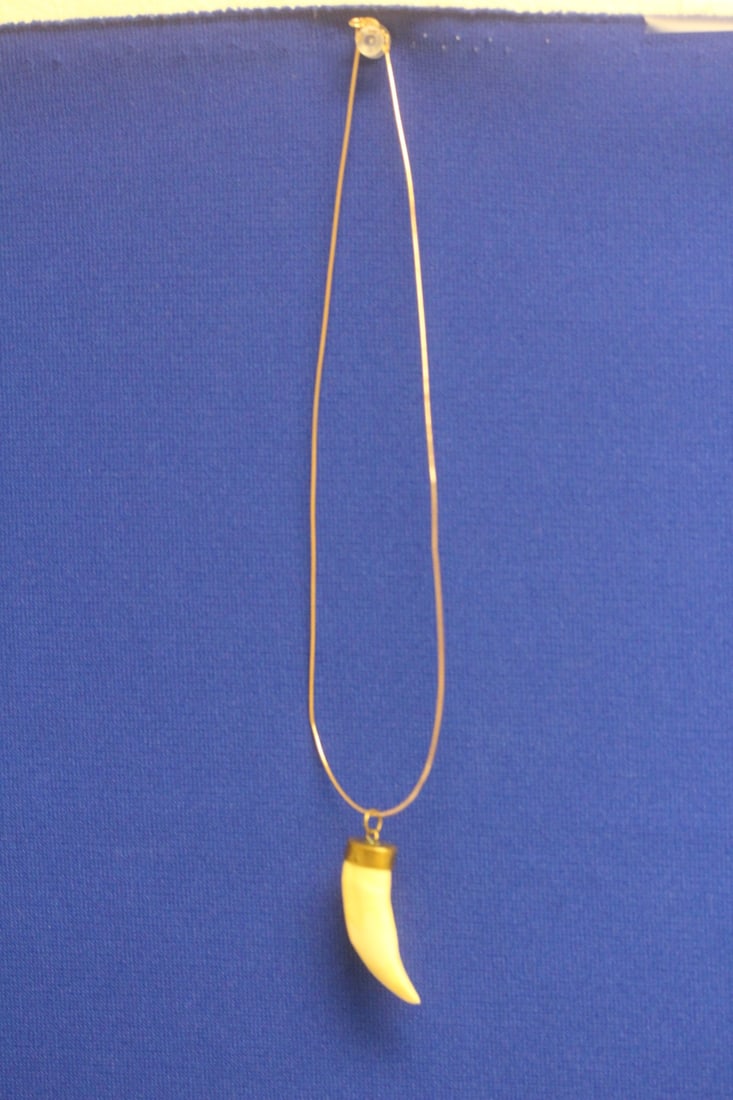 Boar's Tooth and Sterling Necklace Pendant: overall= approximately 10 inches in length