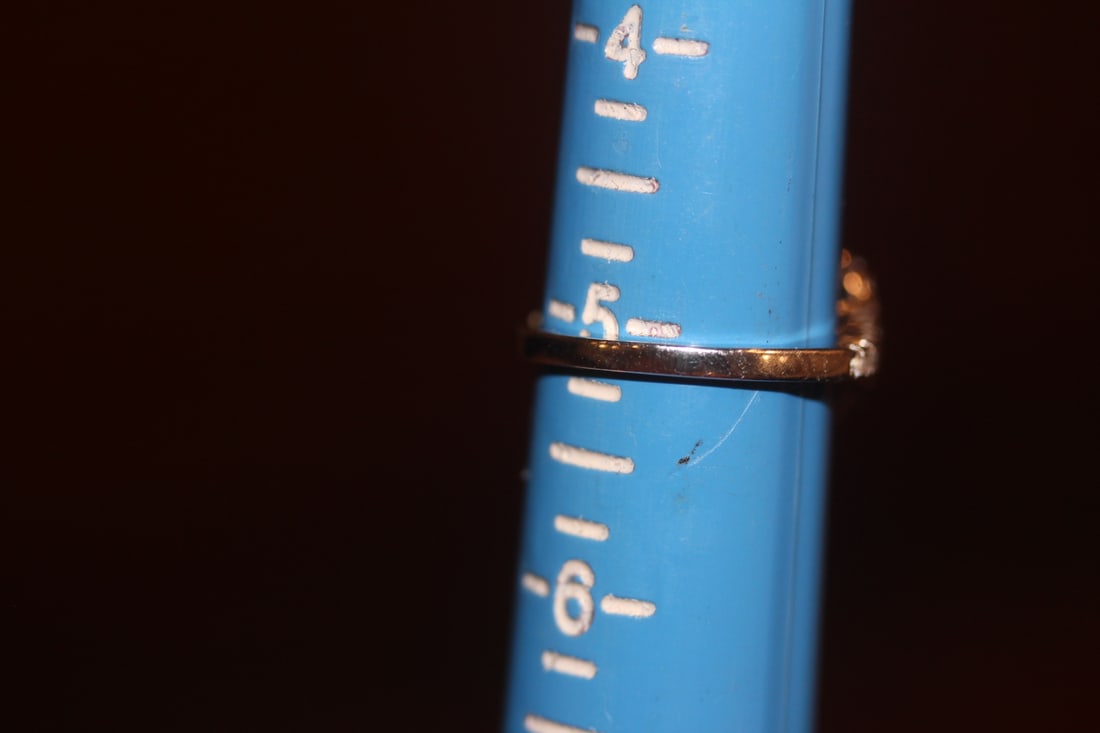 Sterling and Stone Ring - 5