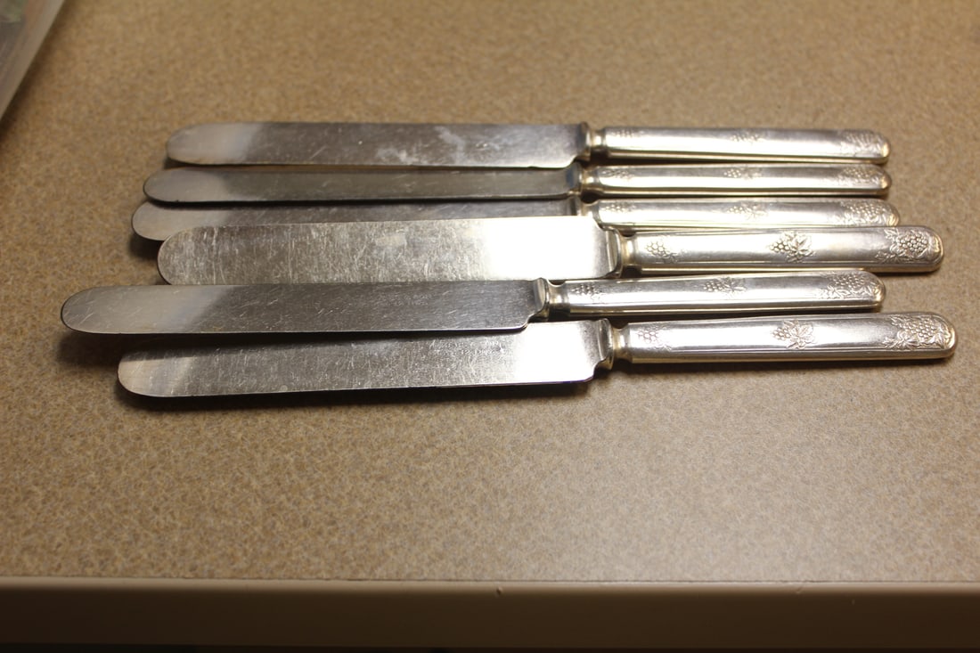 Set of 6 Butter Knives: 9 1/2" long each
