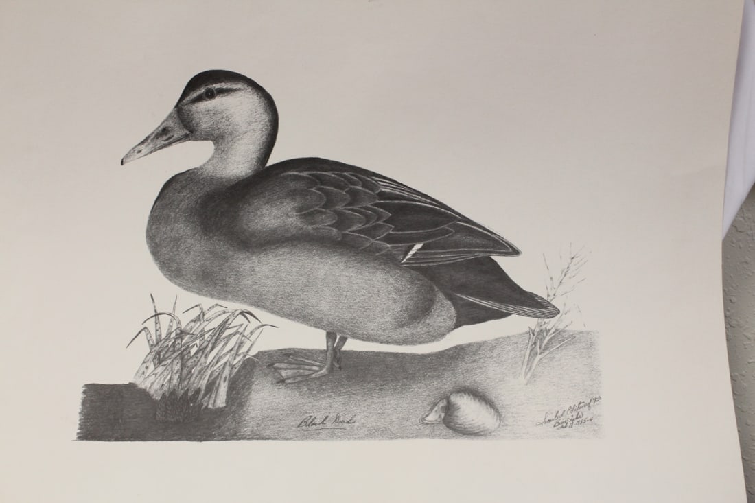 A Limited Edition Print (1 of 6)