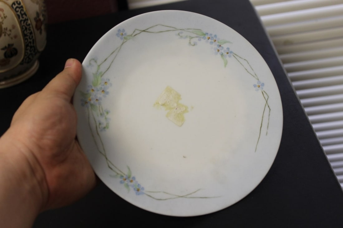 An Antique Hutschenreuther Selb Plate: 7 1/2 inches in diameter
