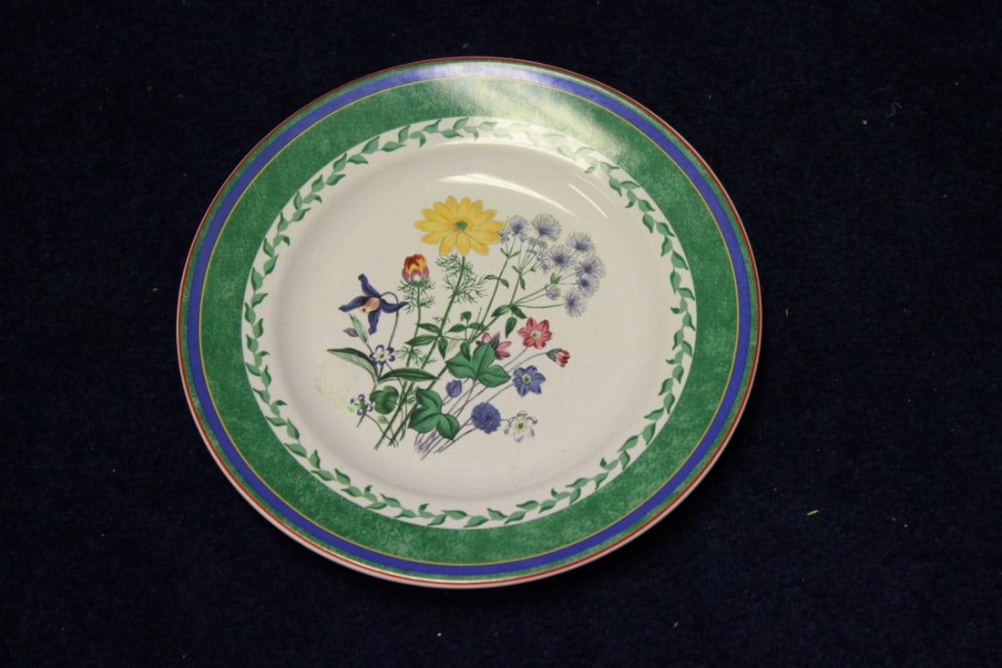 A Smithsonian Institution Plate (1 of 9)