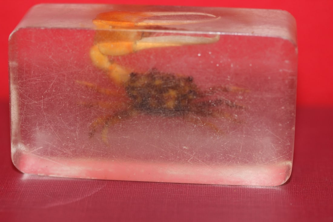 A Vintage Lucite Crab Block: 2 7/8" x 1 5/8" - worn