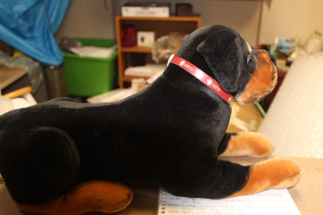 Large Steiff Dog - 3