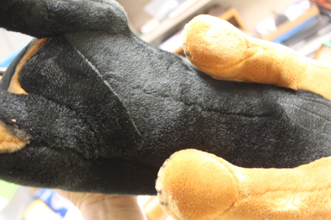 Large Steiff Dog - 5