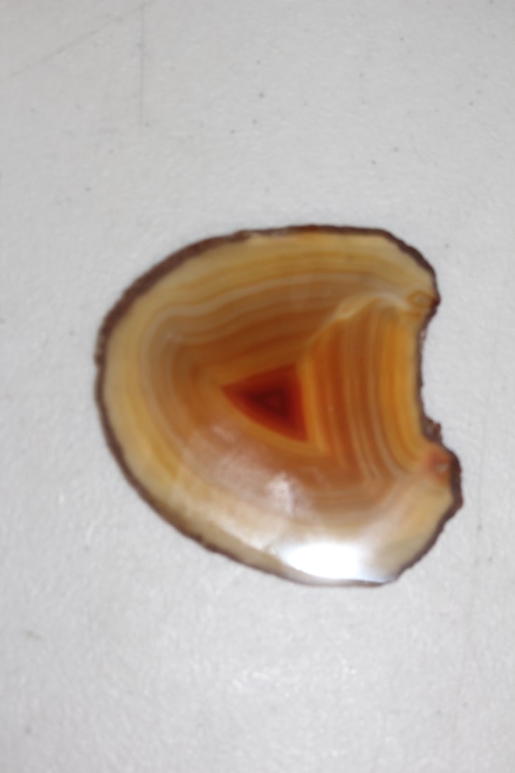 Geo Slice: 2 7/8" in diameter