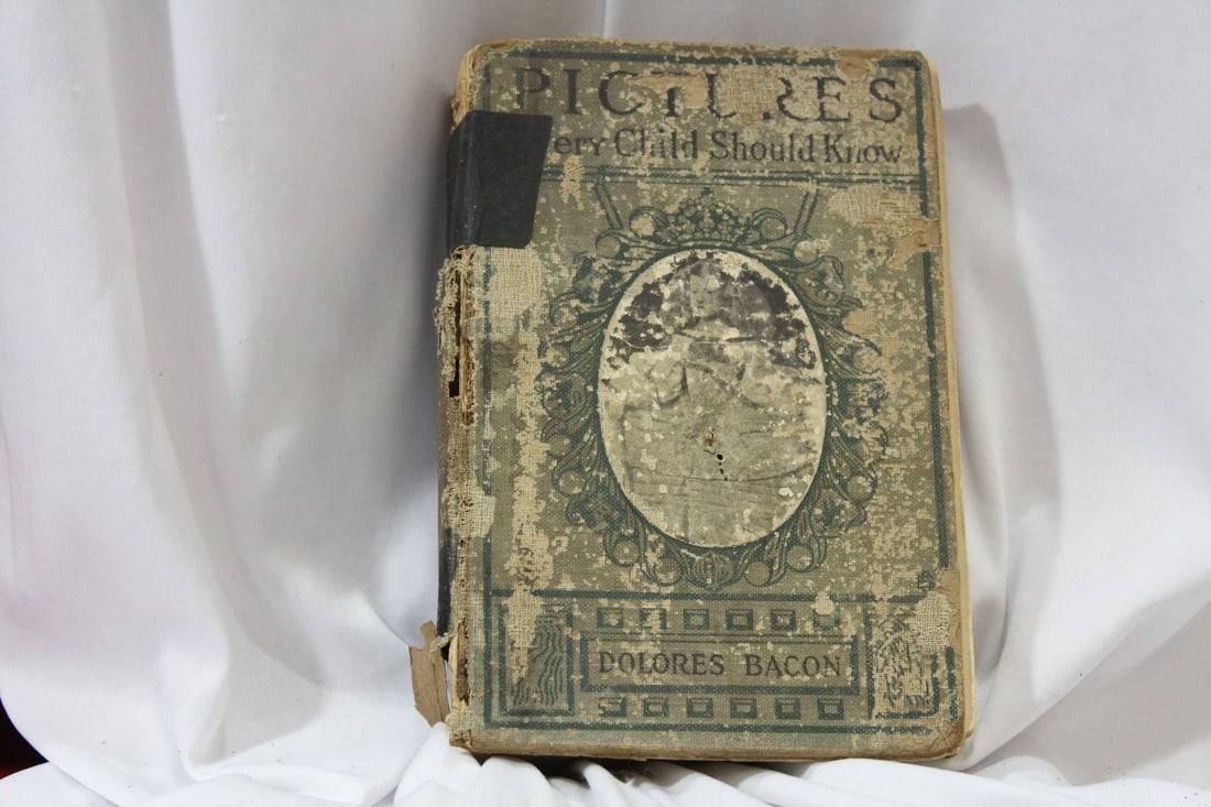 Hardcover Book By Dolores Bacon: please note: book needs help