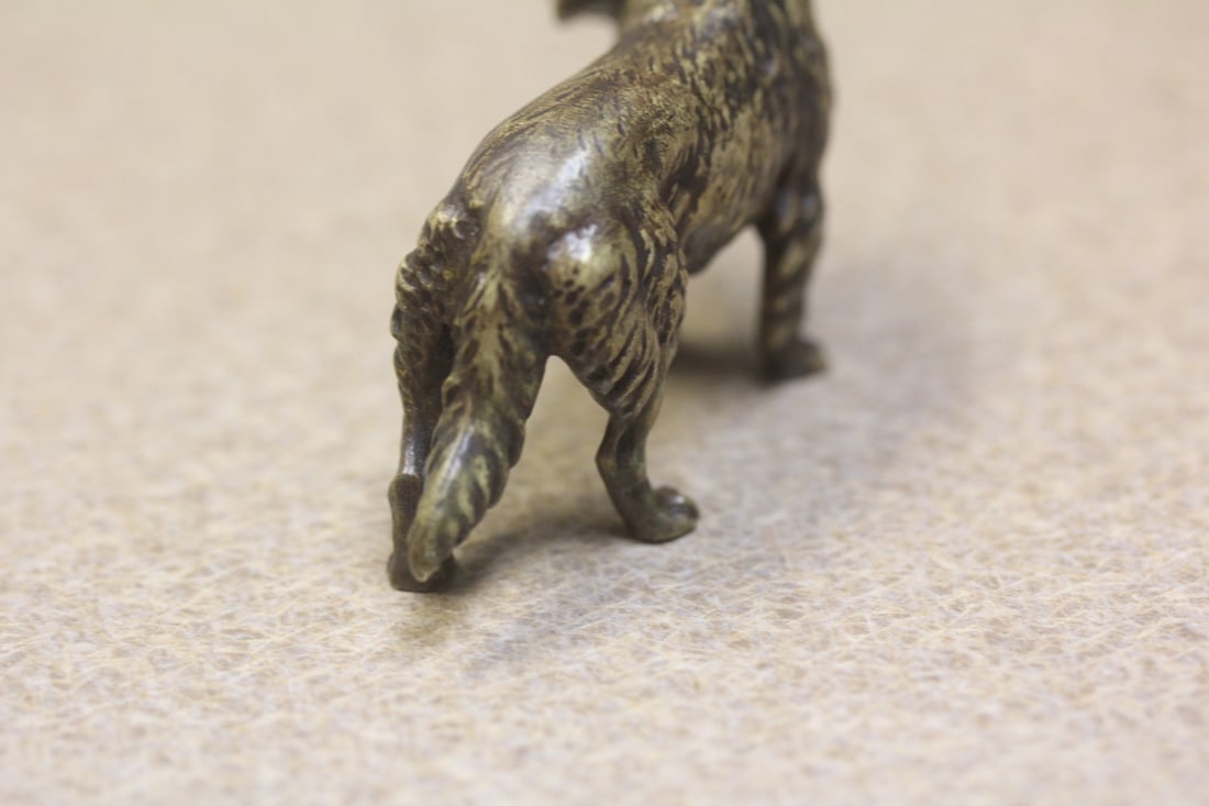 Small Solid Bronze Labrador Dog - 3