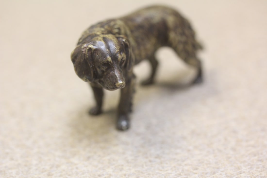 Small Solid Bronze Labrador Dog - 4