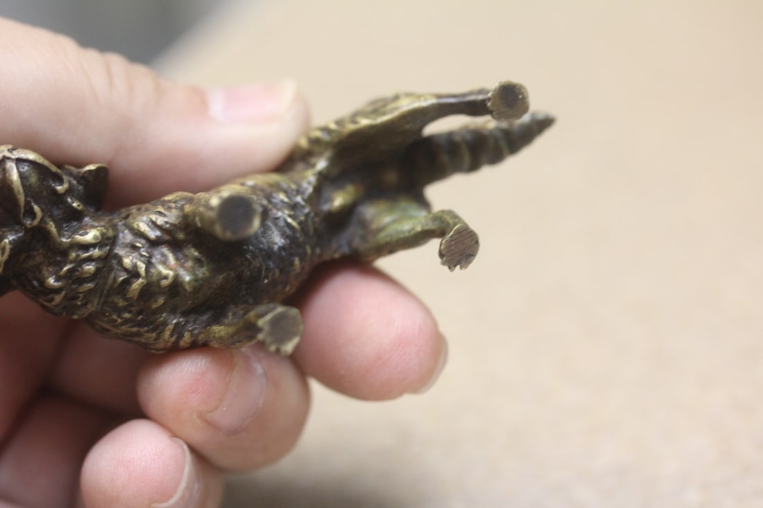 Small Solid Bronze Labrador Dog - 6