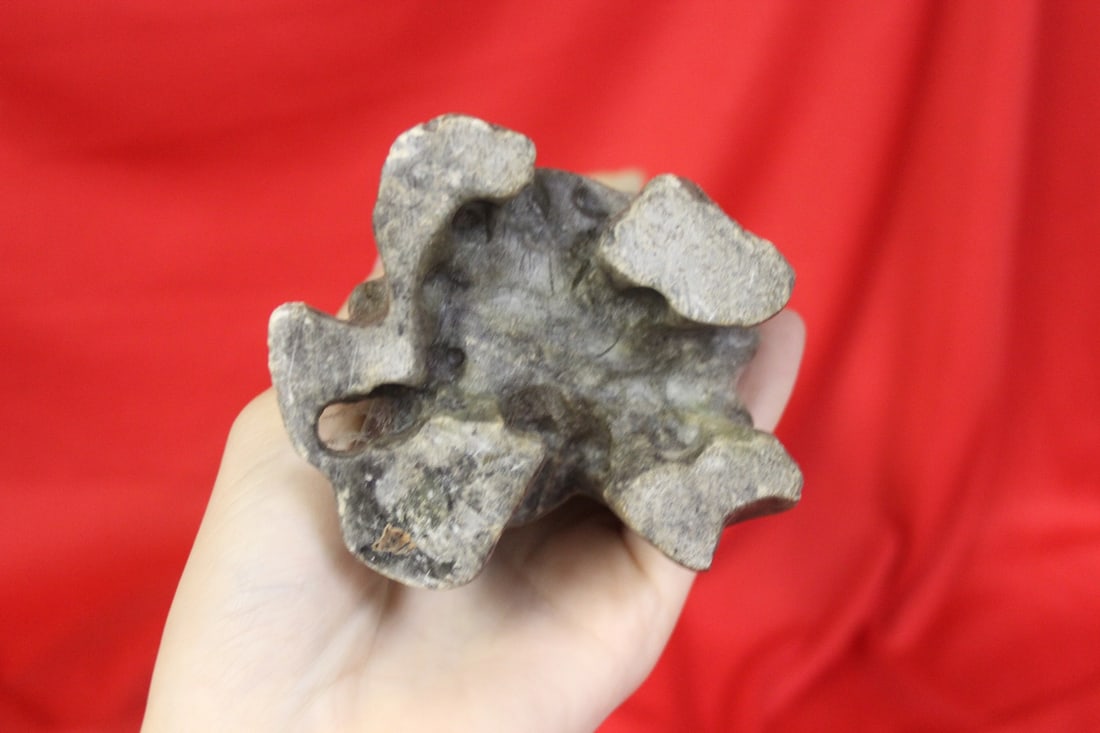 A Soapstone Bird - 6