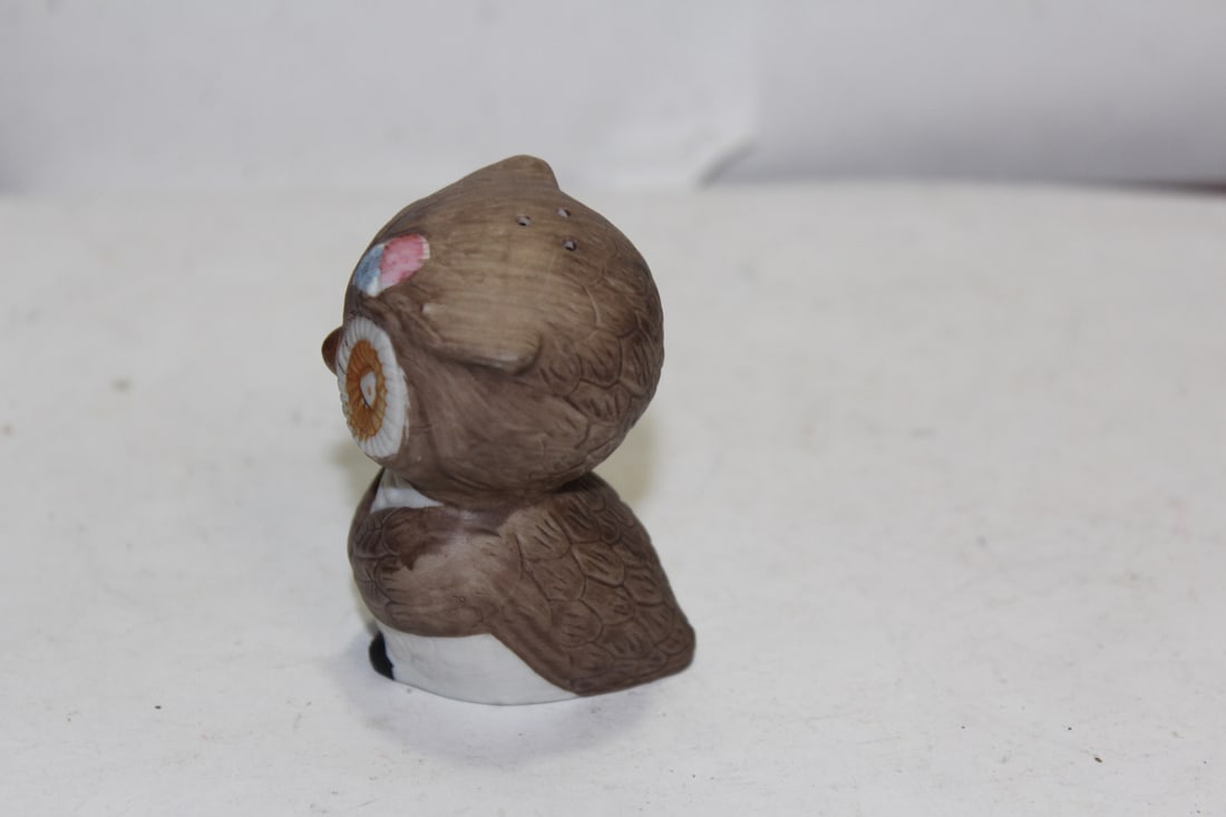 A Single Ceramic Owl Shaker - 2