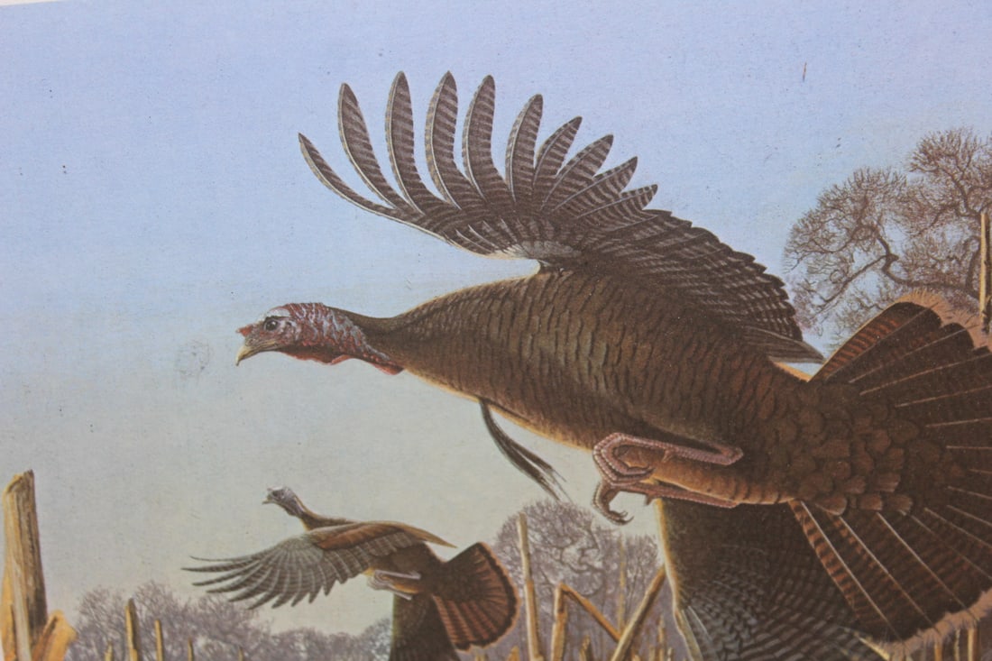 Explosion in Corn Print - 2