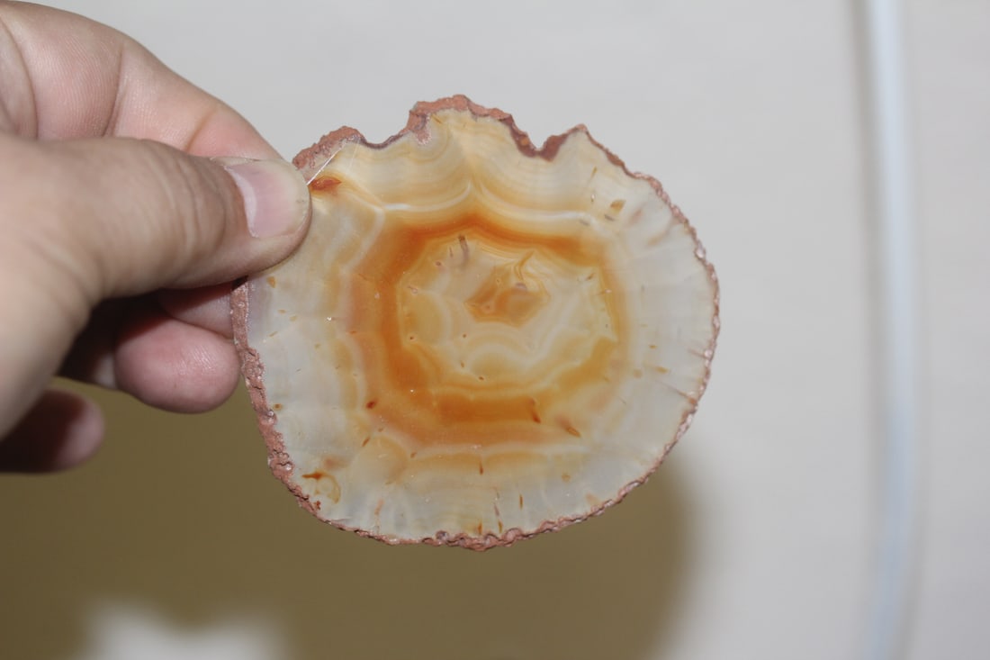 Geo Slice: 3 inches in diameter