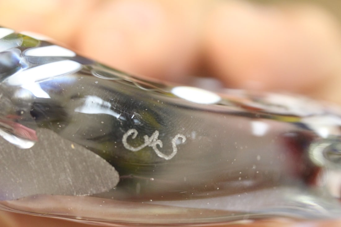 Signed glass fish - 5