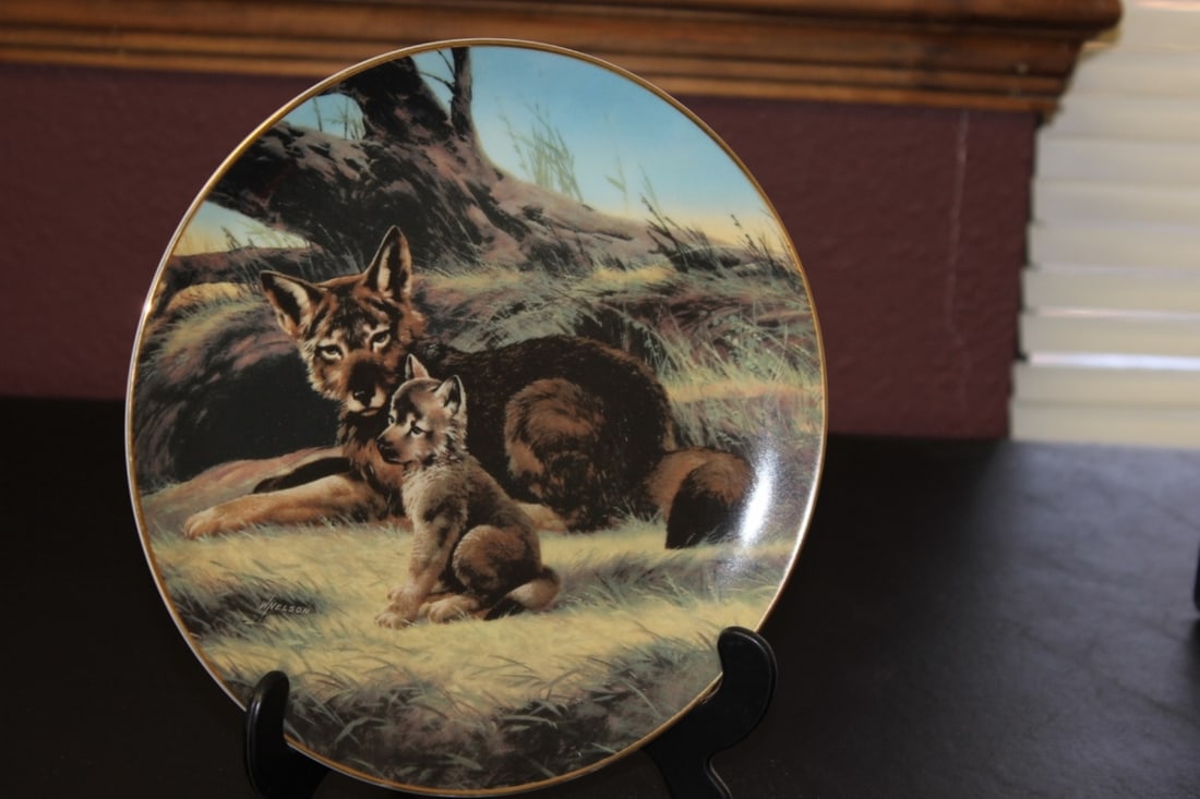 Collector's Plate by Will Nelson: Boxed with COA - 8 1/2 inches in diameter