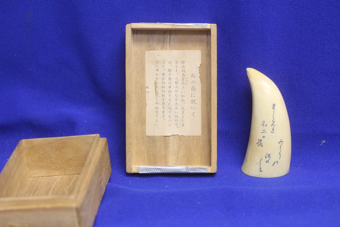 Vintage Japanese Scrimshaw: artist signed - boxed - 3 1/8" in length