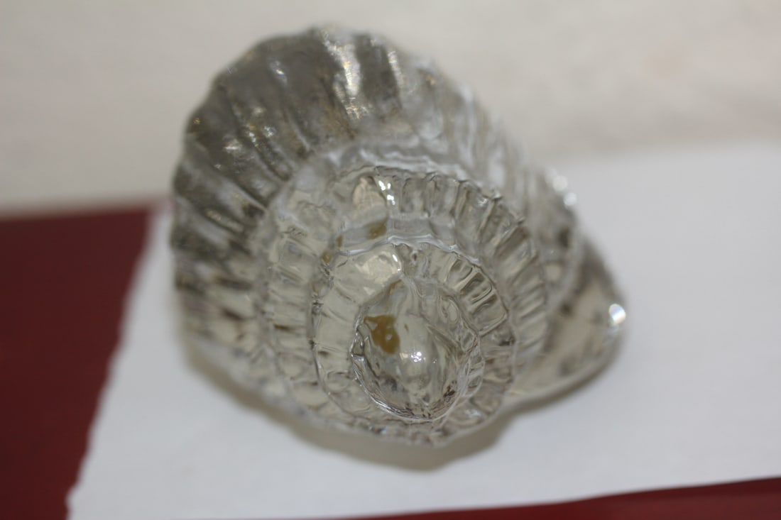 Conch Shell Form Paperweight - 5