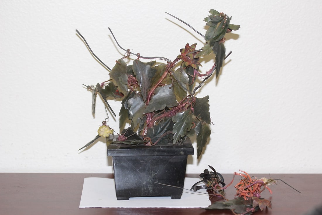 A Jade Tree: as found - this tree has seen better days, pot is also jade - 8" tall