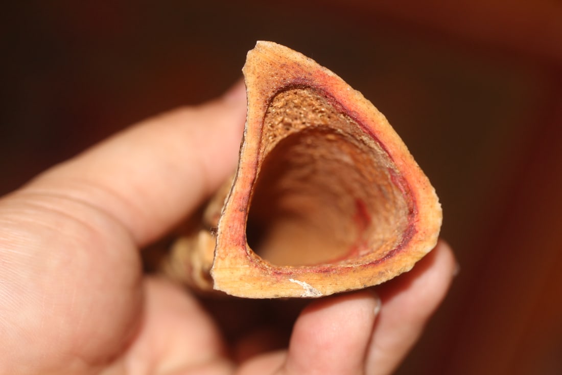 Chinese Bone Figurine - 6