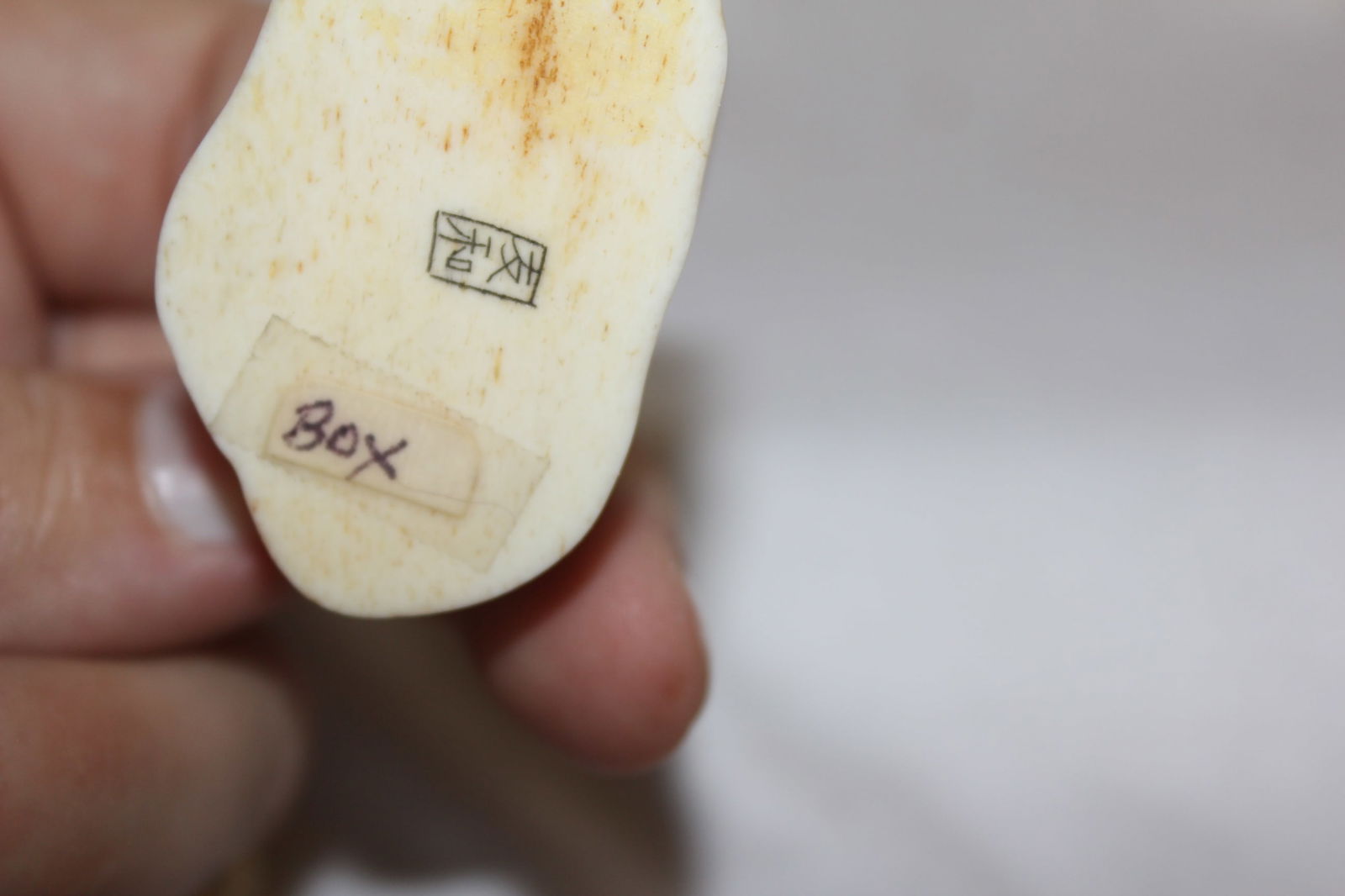 A Signed Japanese Bone Box - 6
