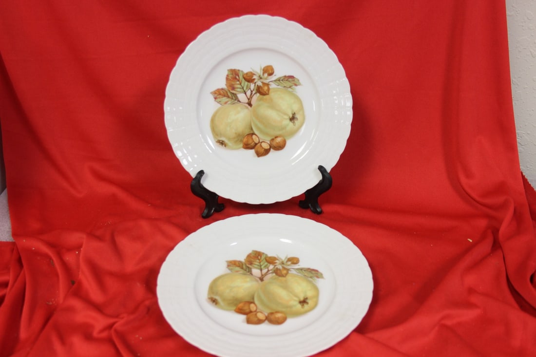 Pair of Hutschenreuther Plates: 8" in diameter